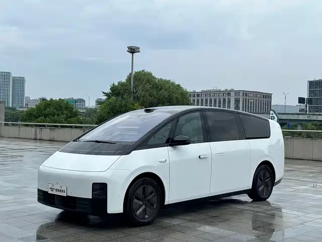 Li Auto MEGA Home, Семейная спецсерия