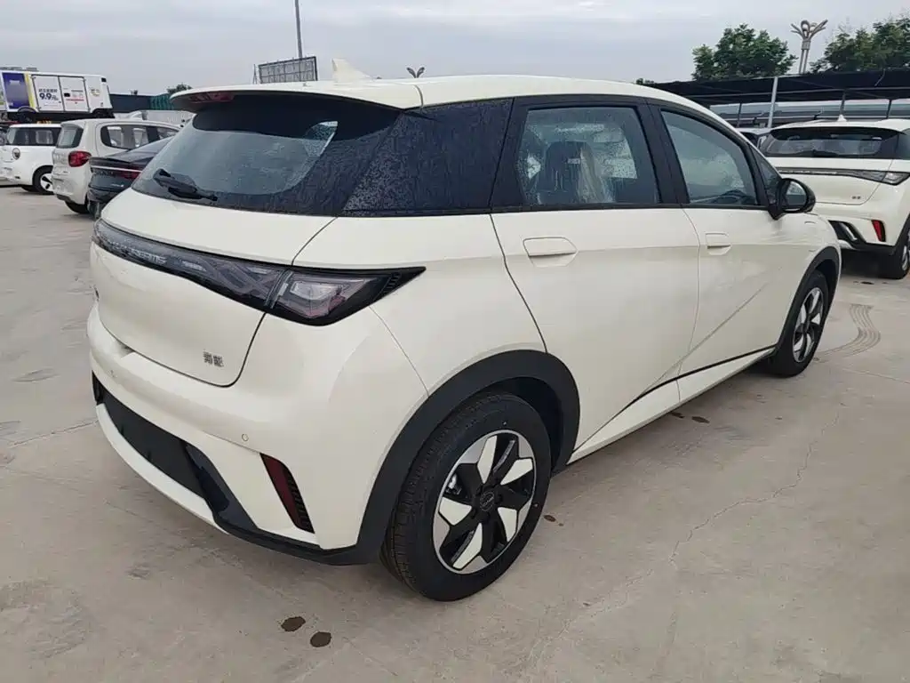BYD Dolphin 2026 2025 420km Freedom Edition