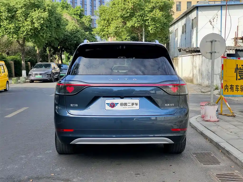 AITO Wenjie AITO M9 2024 Extended Range Ultra 42kWh 6-Seater фото 5
