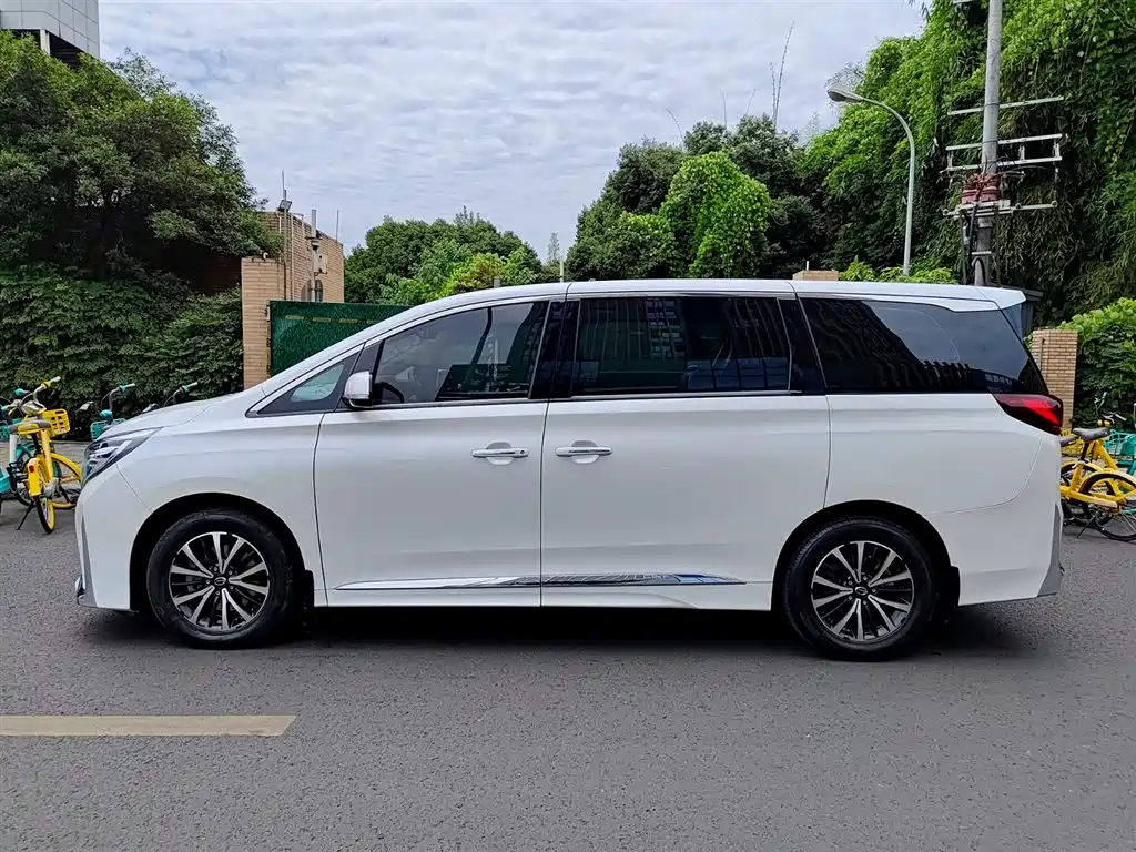 GAC Trumpchi Trumpchi M8 2023 Leading Series 390T Luxury Edition фото 3