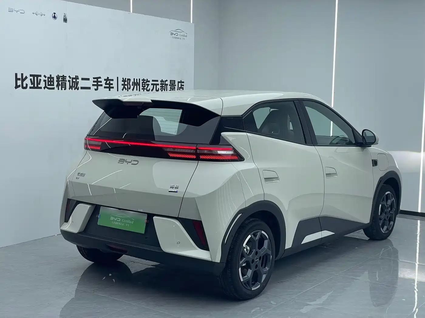BYD Seagull 2025 Smart Drive Edition 305km Freedom Version фото 3