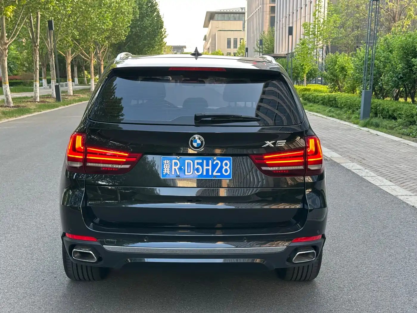 BMW X5 (Import) 2017 xDrive35i Elegance фото 5