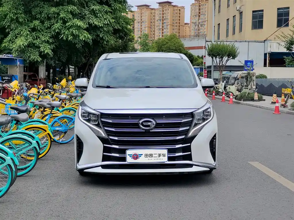 GAC Trumpchi Trumpchi M8 2023 Leading Series 390T Luxury Edition фото 2