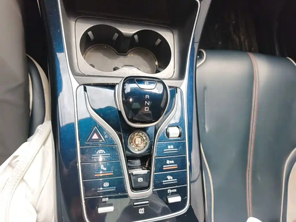 BYD Qin PLUS 2021 2021 Model EV 600KM Flagship
