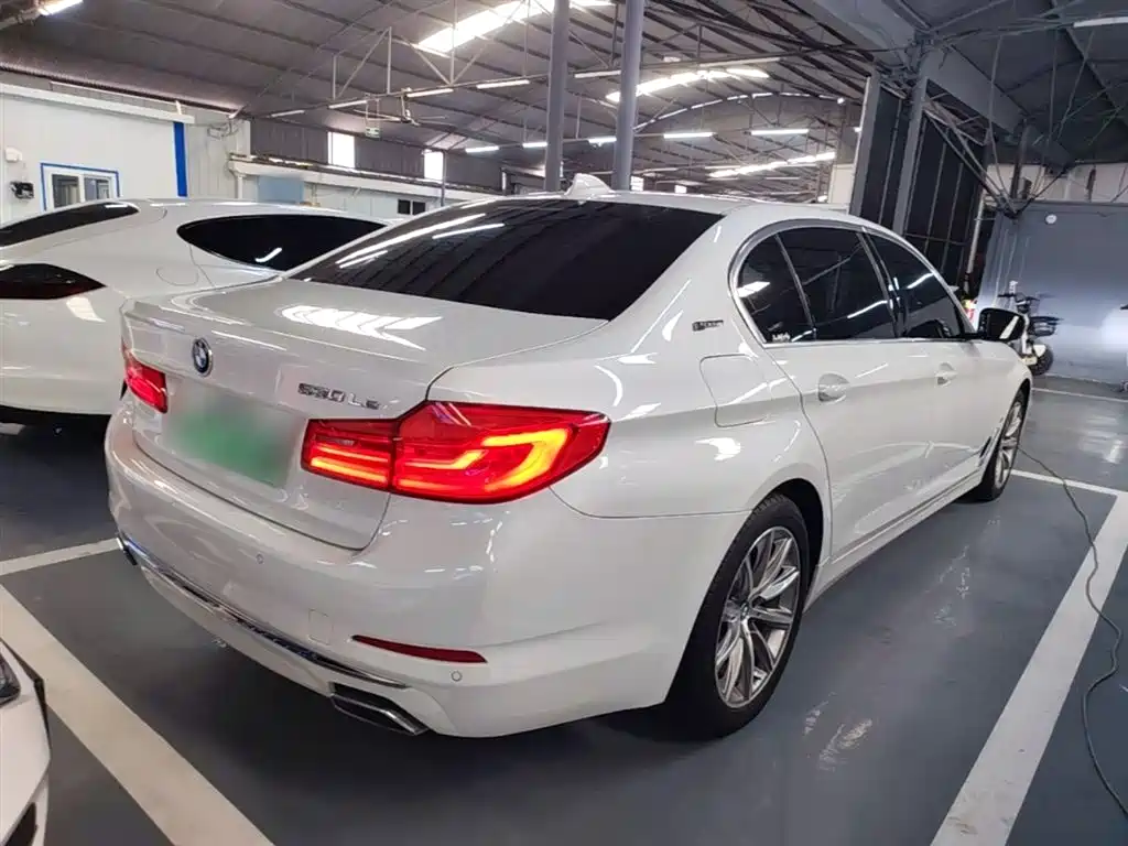 BMW 5 Series New Energy 2019 530Le Luxury Package фото 7