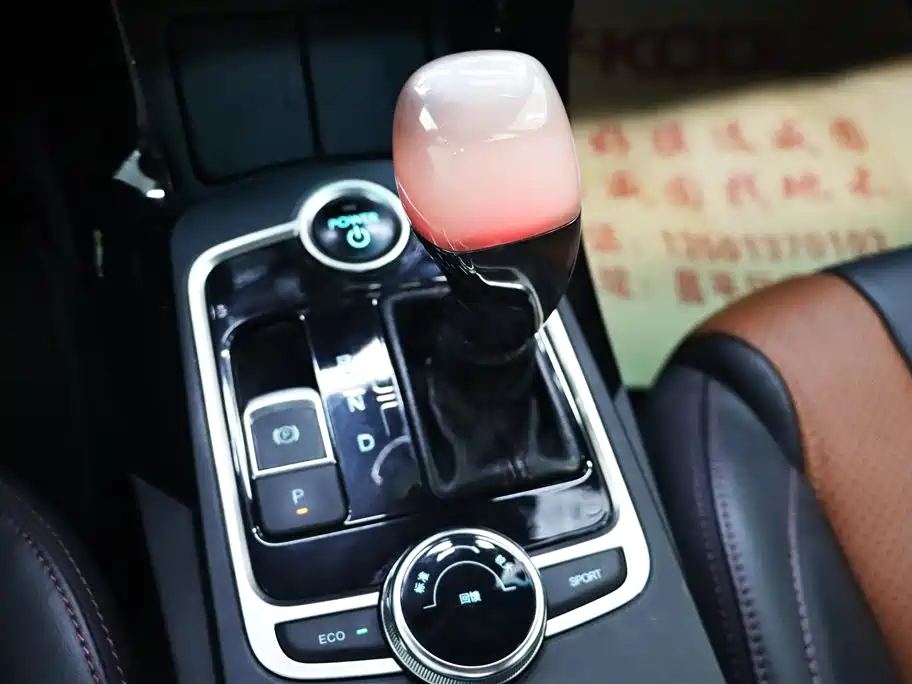 BYD Qin New Energy 2016 Qin EV300 Honor фото 16
