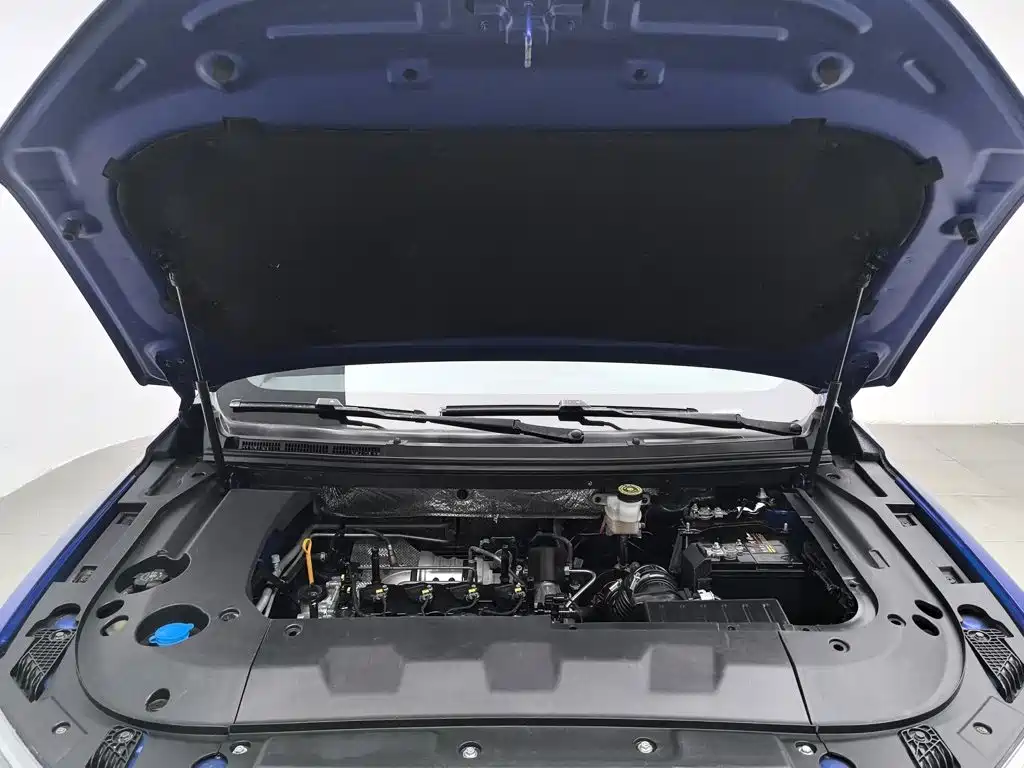 Фото 6 - Haima 8S