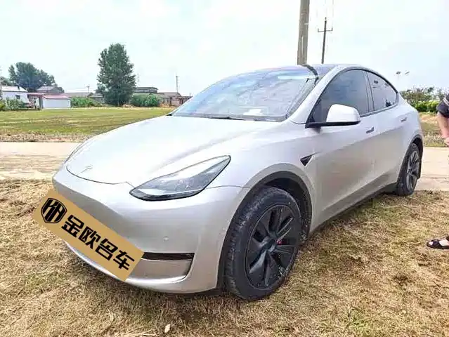 Tesla Model Y Увеличенный запас хода, полный привод