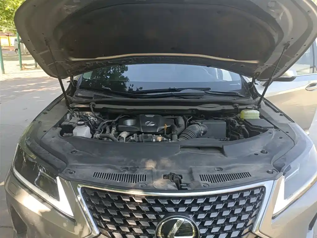 Lexus RX 2020 Facelift 300 2WD Comfort Edition фото 20