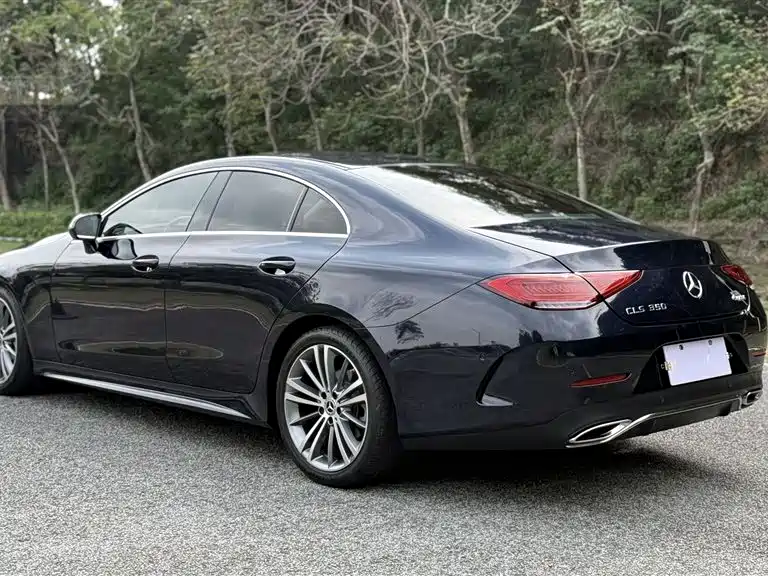 Mercedes-Benz CLS 2021 CLS 300 Sport фото 9