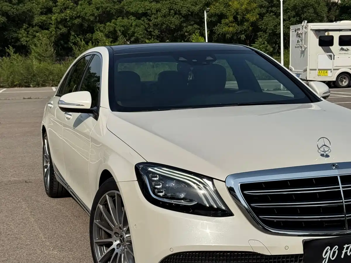 Mercedes-Benz S-Class 2018 S 320 L фото 7