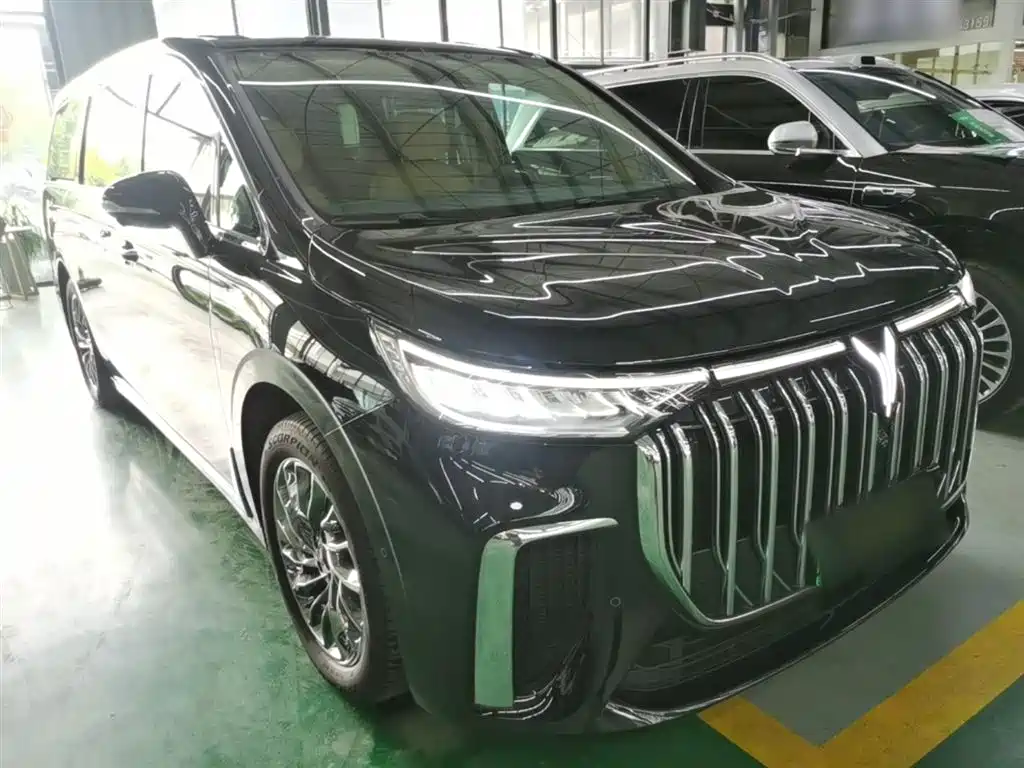 Voyah Auto Voyah Dreamer 2024 PHEV Extended Range Flagship Edition фото 4