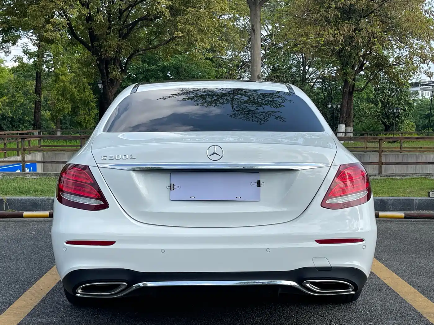 Mercedes-Benz E-Class 2020 E 300 L Sport Luxury Model фото 5