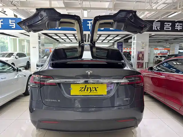 Tesla Model X 2017 Model X 100D Long Range — фото 5