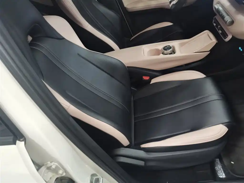 BYD Seagull 2025 305km Vitality фото 20