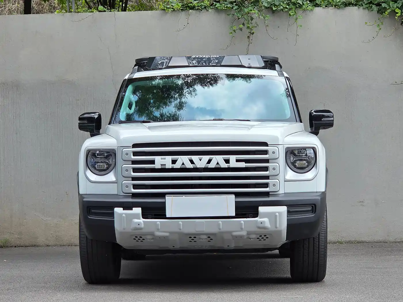 Haval Meng Long NEV 2024 Hi4 145 Cross-country Edition фото 2