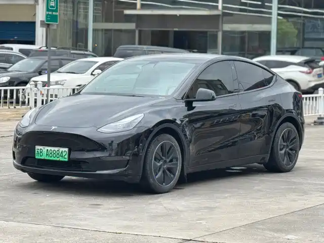Tesla Model Y 2021 Standard Range Rear-Wheel Drive