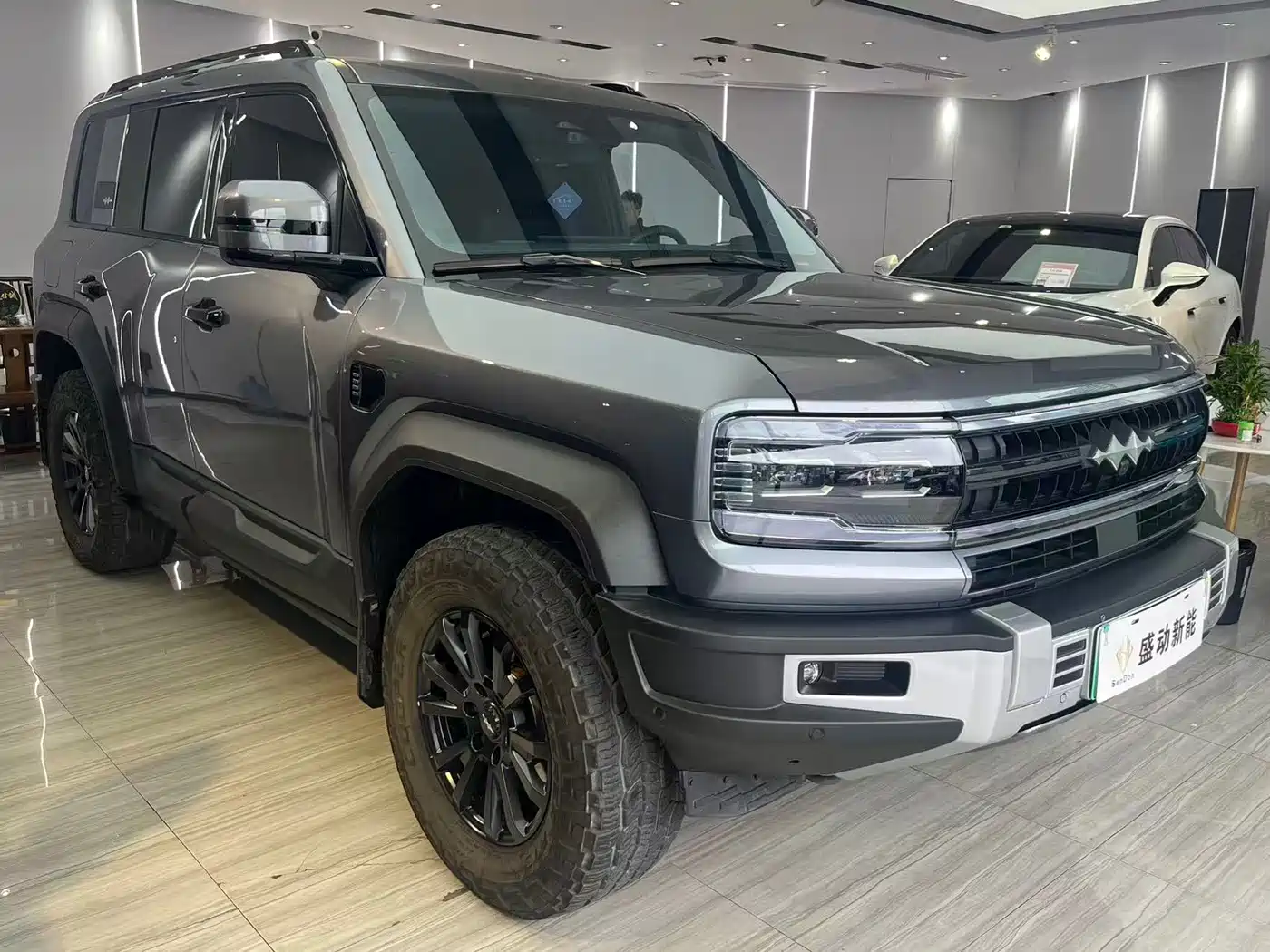 FANG CHENG BAO LEOPARD 5