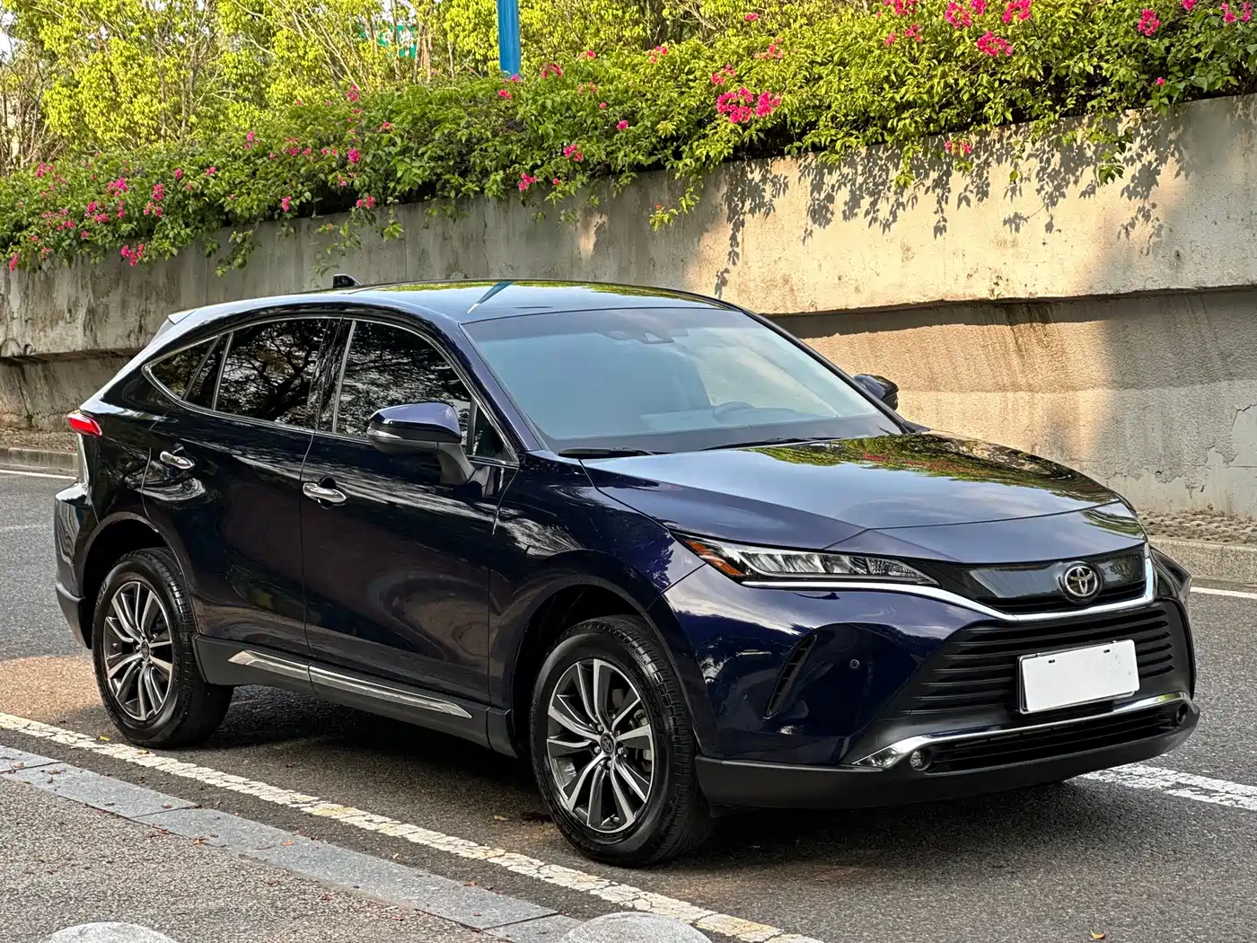 Toyota Lingfang HARRIER 2023 2.0L CVT 2WD Progressive Edition фото 3