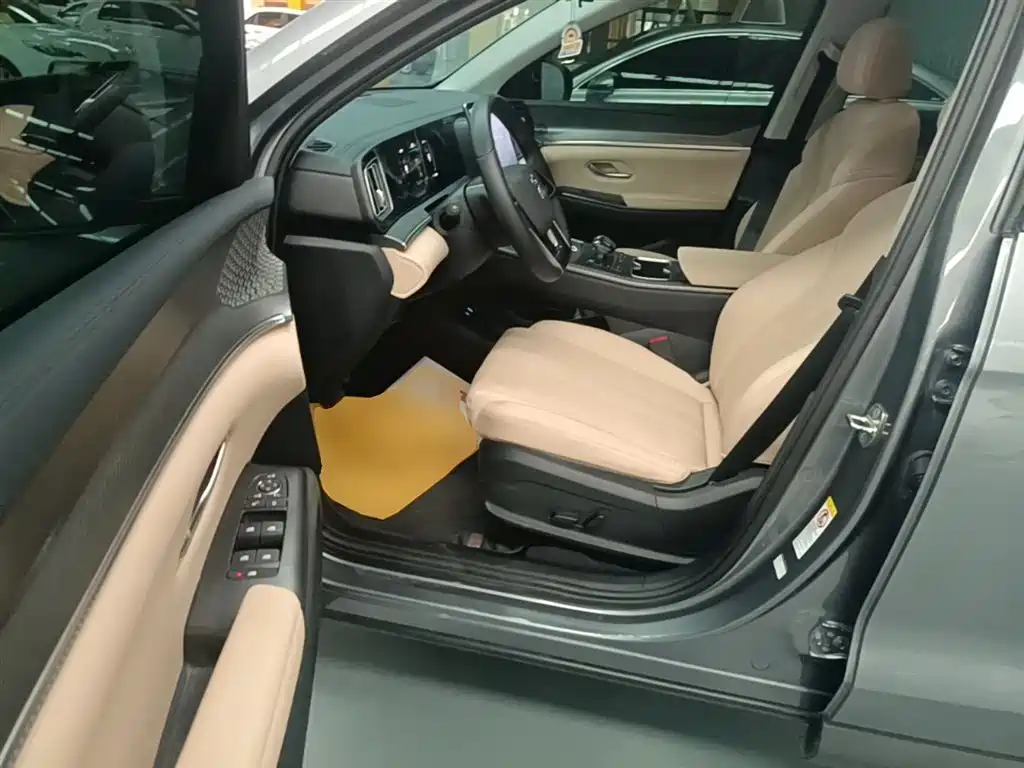 BYD Song Pro New Energy 2025 2nd Gen DM-i 75KM Surpass фото 16