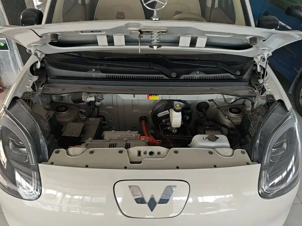 Фото 20 - Wuling Motors Hongguang MINIEV