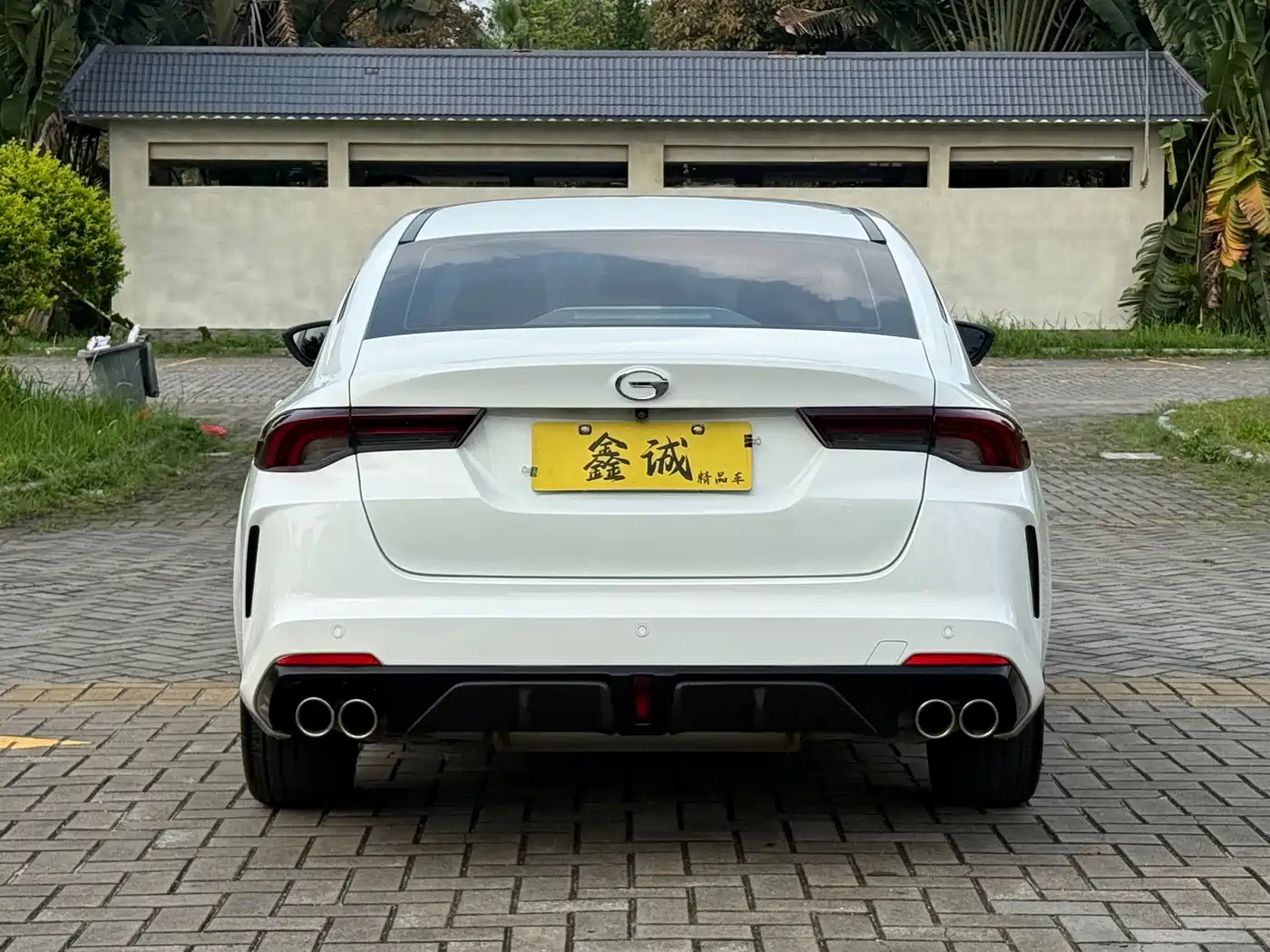 GAC SHADOW LEOPARD