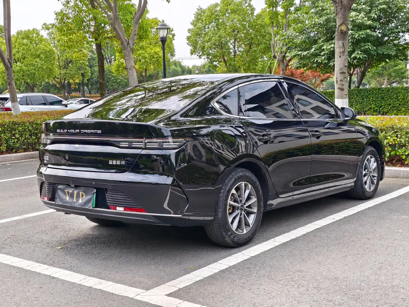 BYD Destroyer 05 2024 Glory Edition DM-i 55KM Luxury фото 7