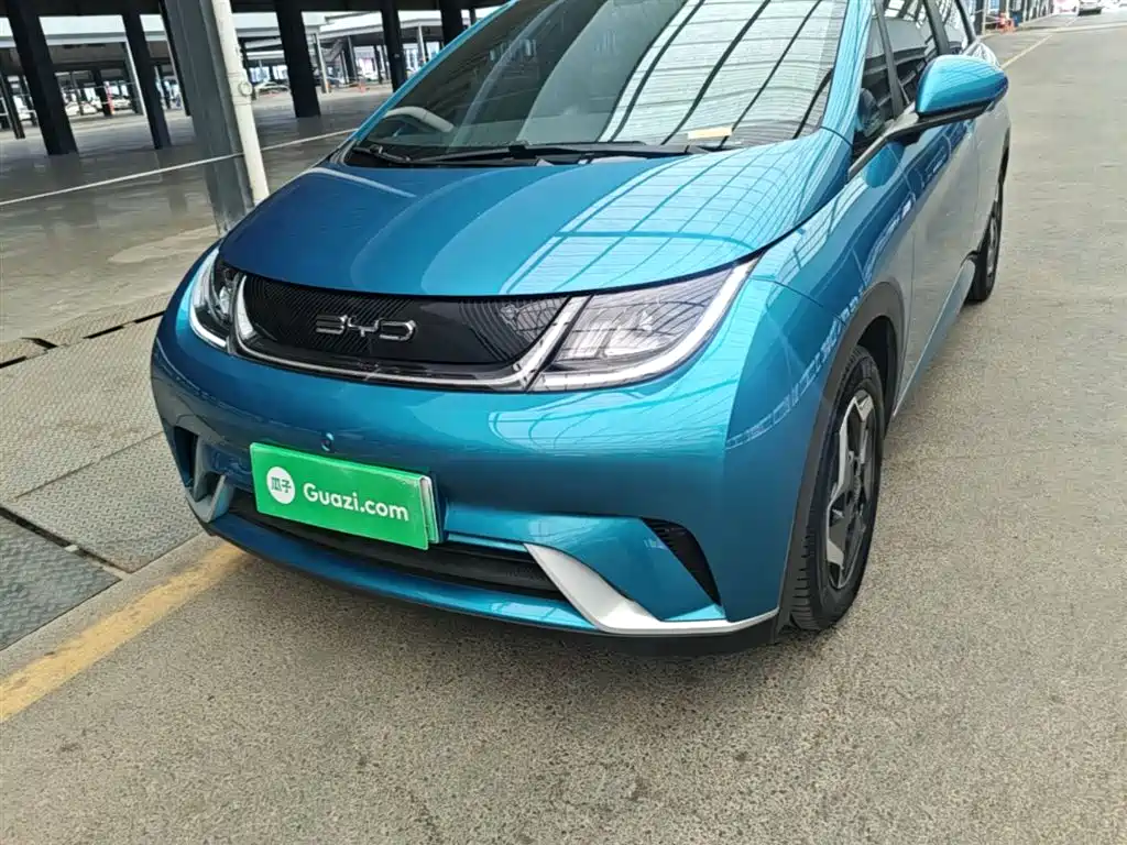 BYD Dolphin 2021 Model 405km Fashion Edition фото 24