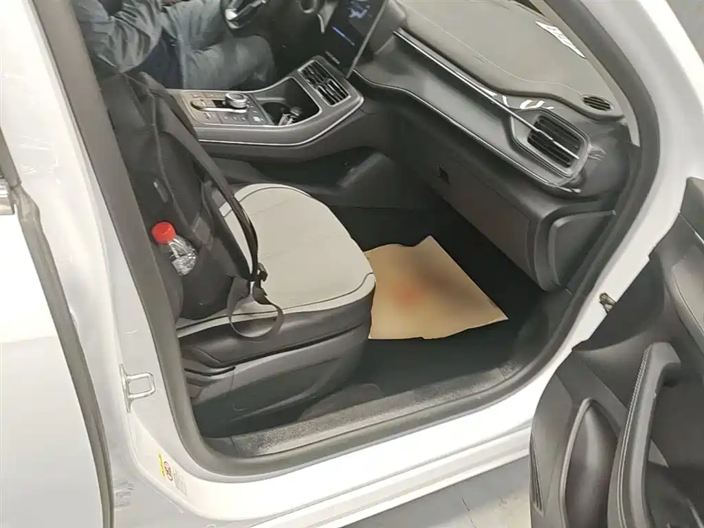 BYD Destroyer 05 2024 Glory Edition DM-i 55KM Luxury фото 25