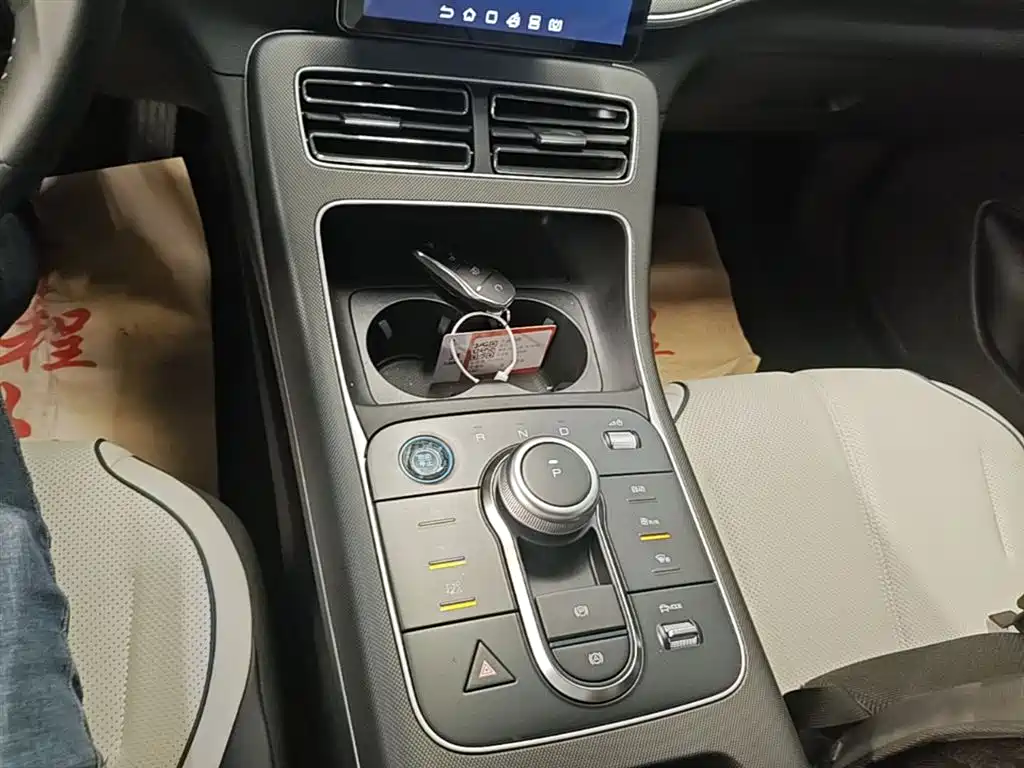 BYD Destroyer 05 2024 Glory Edition DM-i 55KM Luxury фото 14