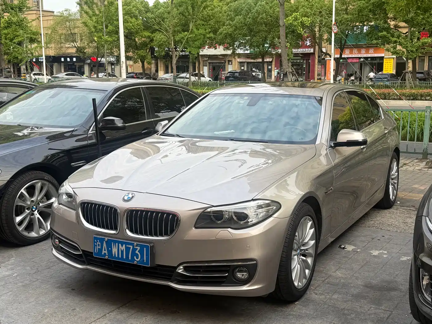 BMW 5 Series 2014 525Li Luxury Design Package