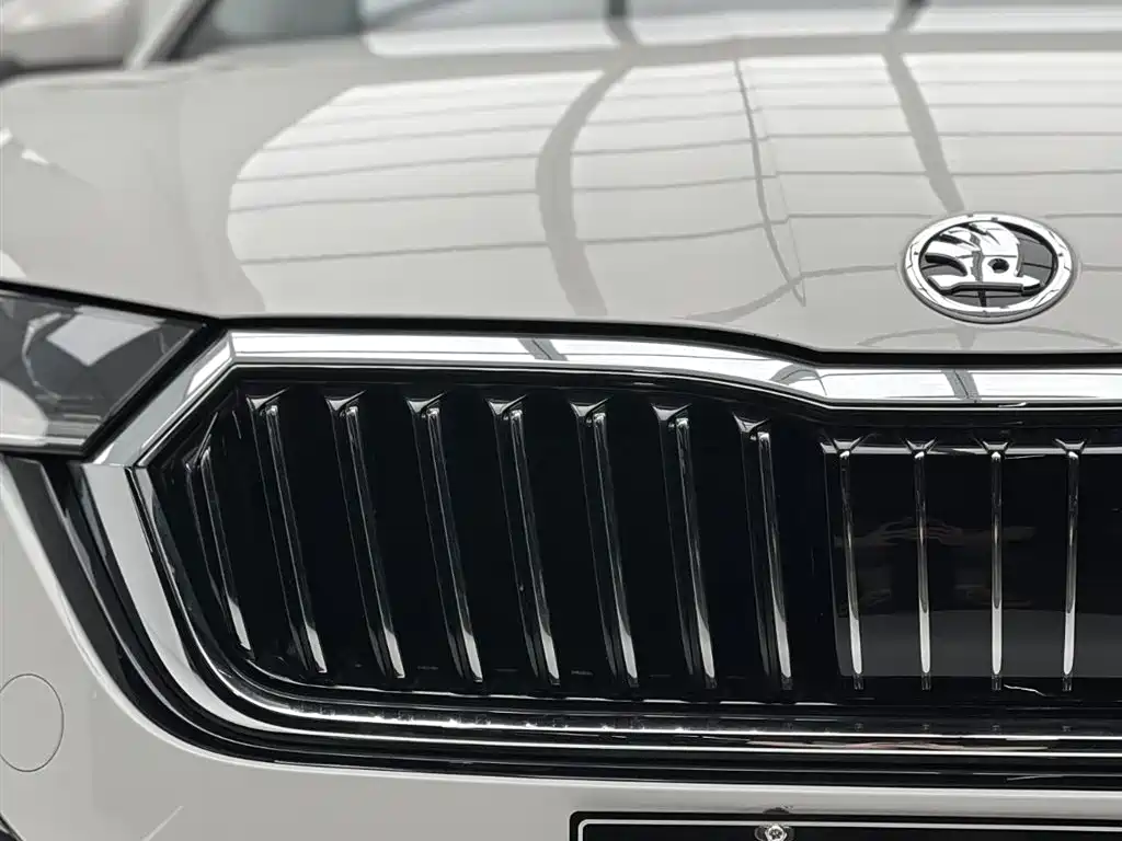 Škoda Octavia 2022 PRO TSI280 Luxury Edition фото 9