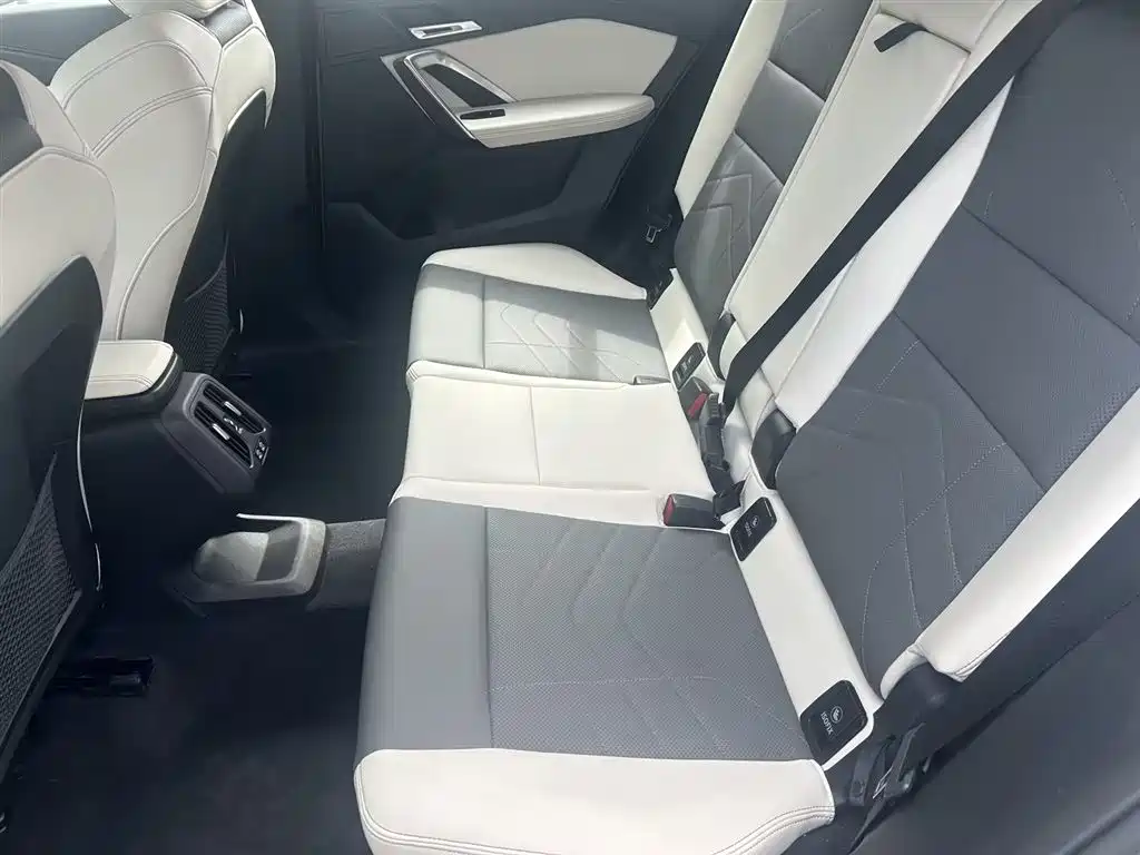 BMW X2 (Import) 2024 sDrive25i M Sport Package фото 6