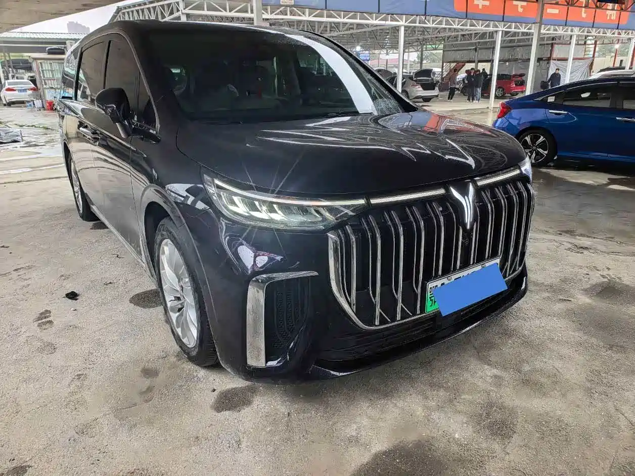 Voyah Auto Voyah Dreamer 2024 PHEV Extended Range Premium Edition фото 3