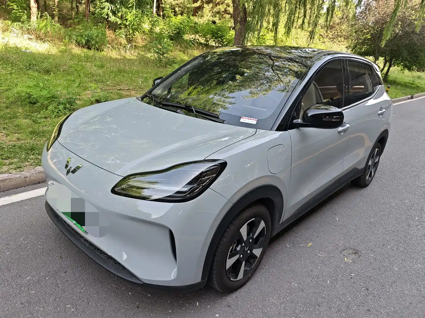 Wuling Motors Wuling Binguo PLUS 2024 Model 510km Flagship Edition 4-Seater