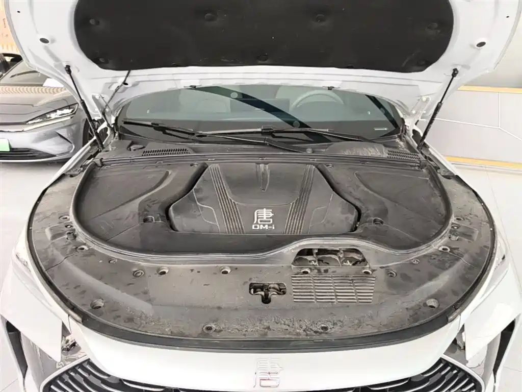 BYD Tang New Energy 2024 DM-i Honor Edition 112KM Premium фото 19