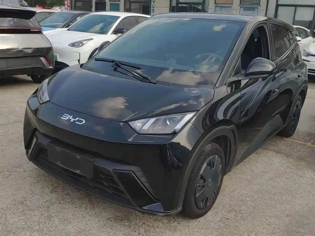 BYD Seagull 2024 Glory Edition 305km Vitality Edition