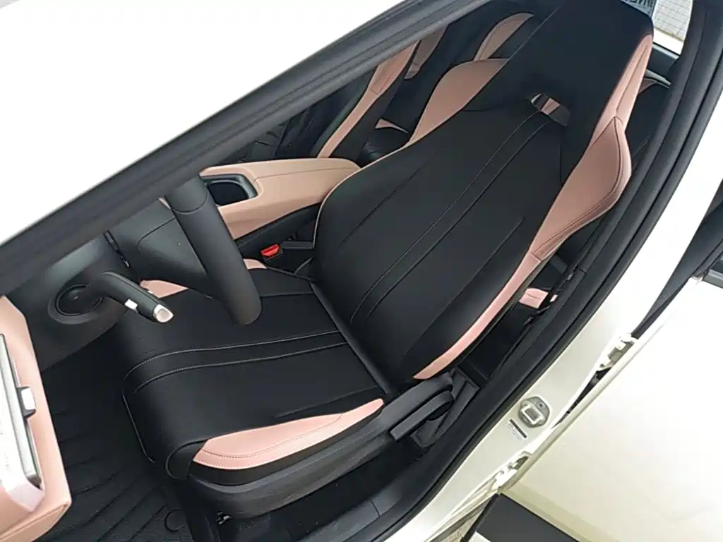 BYD Seagull 2026 2025 Smart Drive Edition 305km Vitality Version