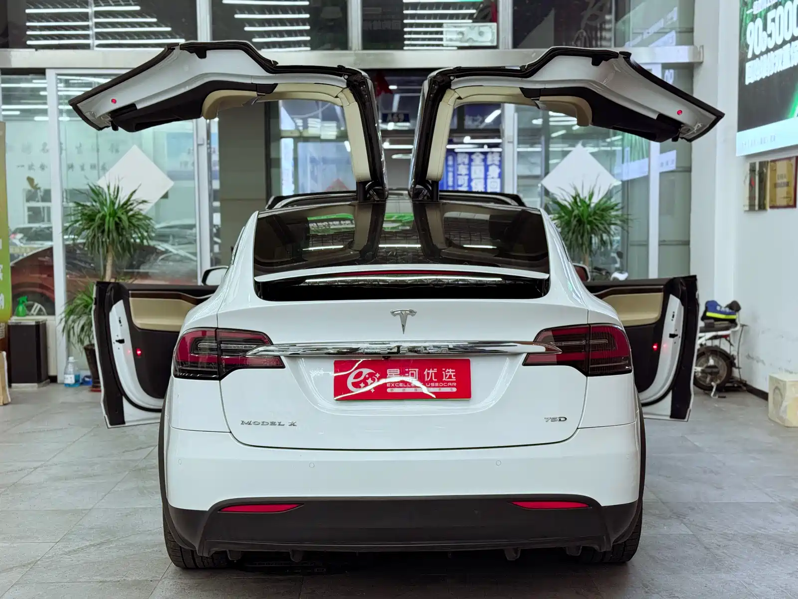Photo 13 - Tesla Model X