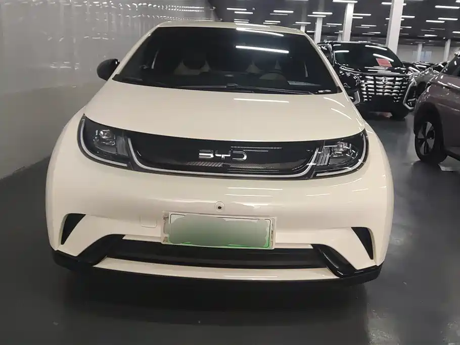 BYD Dolphin 2024 Glory Edition 420km Freedom Edition фото 2