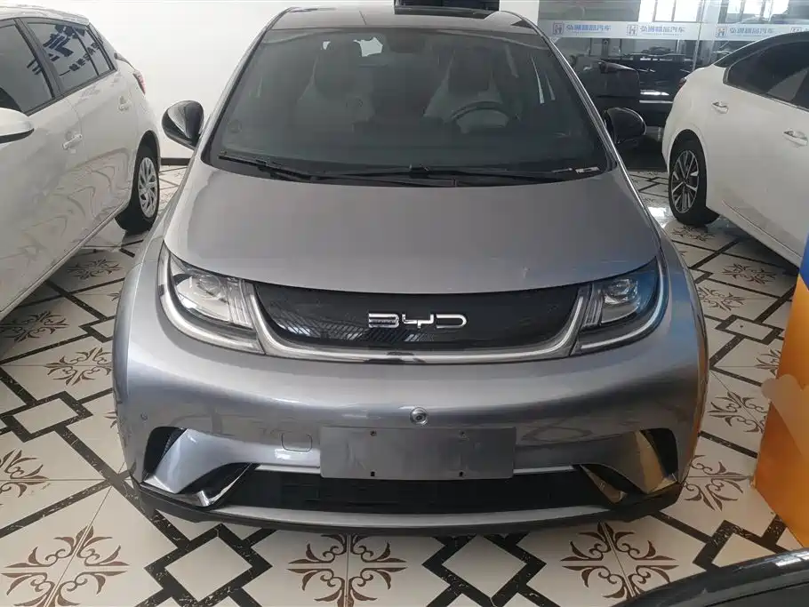 BYD Dolphin 2023 420km Fashion Edition фото 2