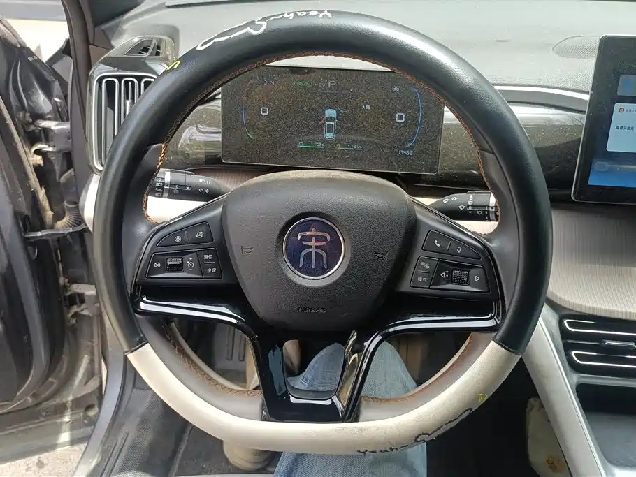 BYD Song Pro New Energy 2024 Glory Edition DM-i 71KM Pilot фото 15