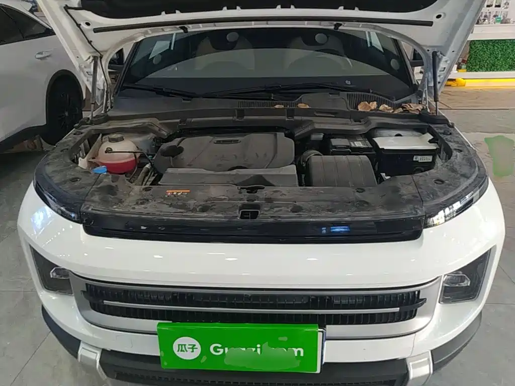 Geely ICON 2024 2023 1.5TD Protagonist