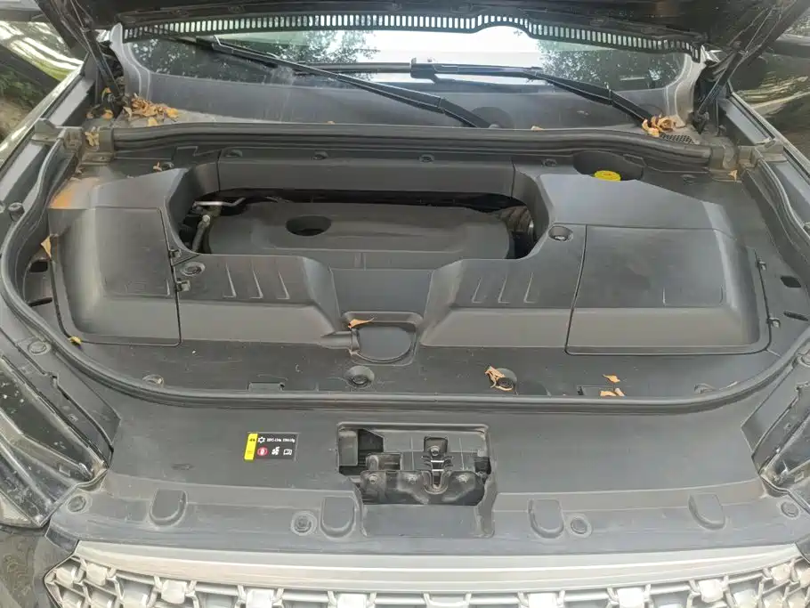 WEY VV6 2021 2021 2.0T 2WD Smart Enjoyment+