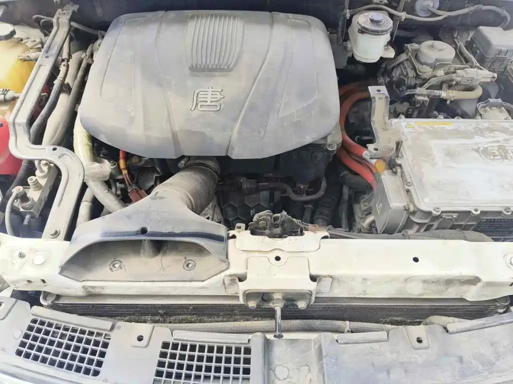 BYD Tang New Energy 2018 2017 2.0T Tang 100