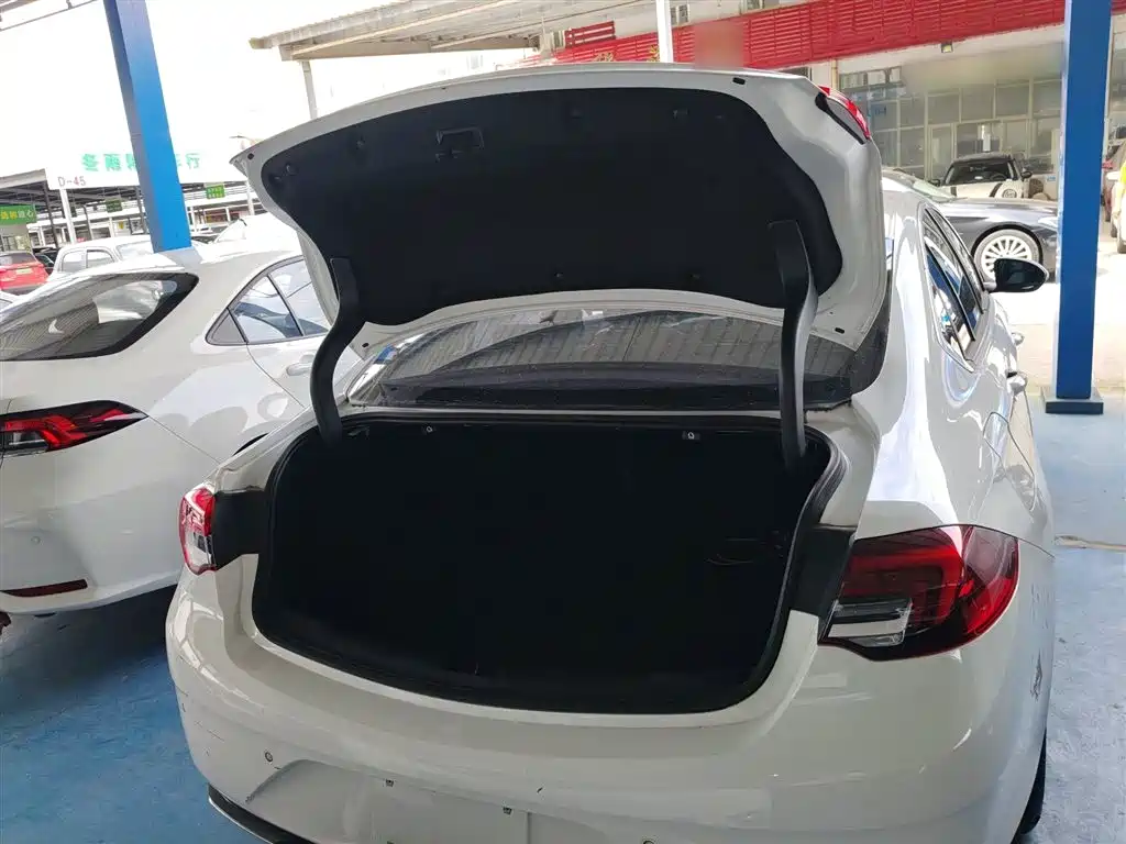 Buick Regal 2020 552T Elite фото 15