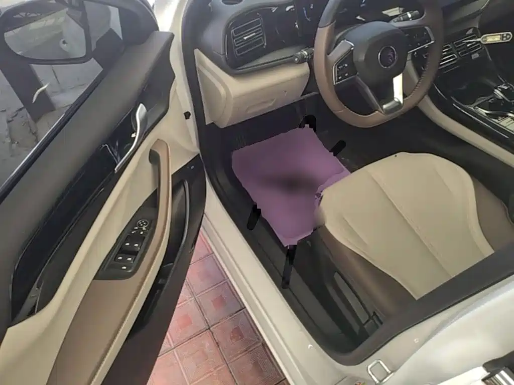 BYD Qin PLUS 2024 Glory Edition DM-i 55KM Leading фото 16
