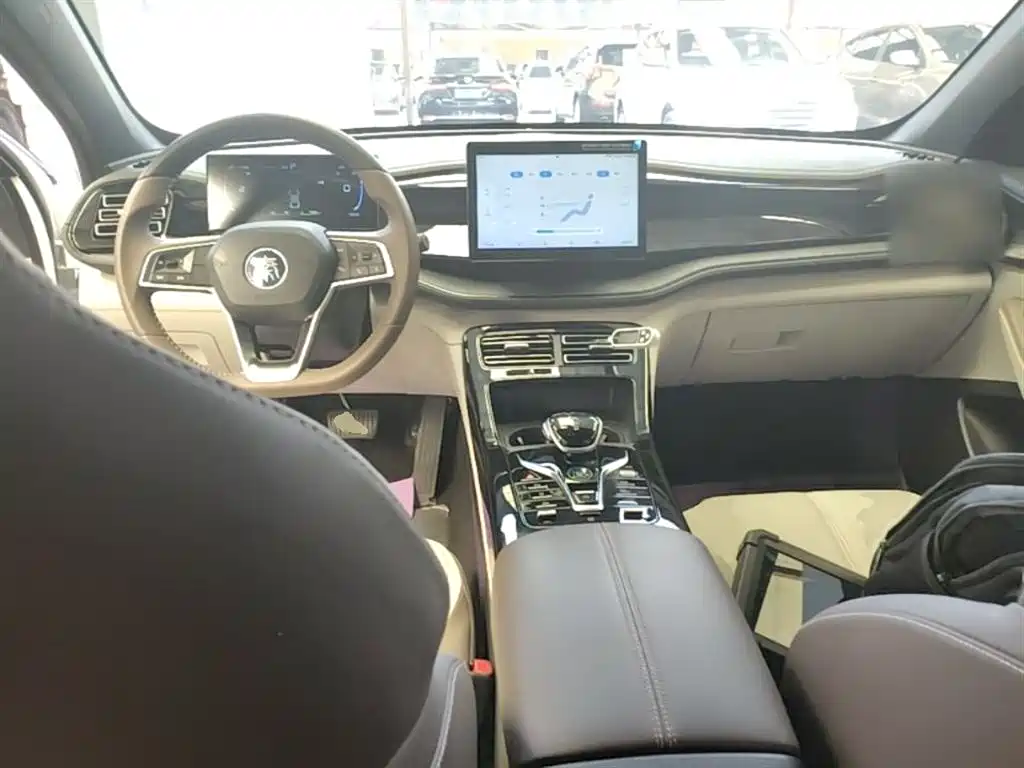 BYD Qin PLUS 2024 Glory Edition DM-i 55KM Leading фото 10