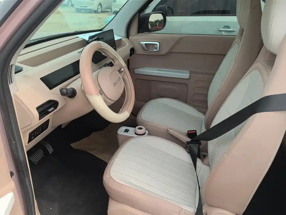 Geely Galaxy Panda 2023 Panda Mini 200km Lively Bear фото 9