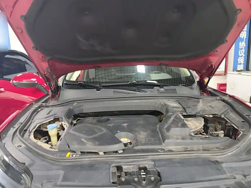 WEY VV5 2017 2017 2.0T Super Luxury Model